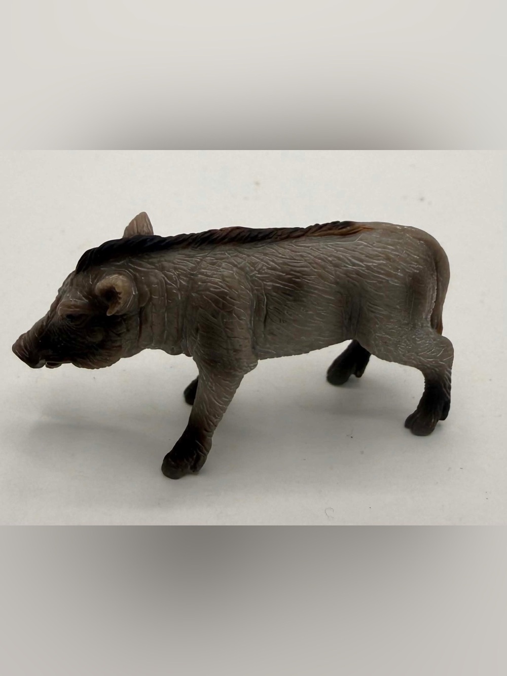 RARE Schleich Warthog Piglet Baby Hog 14612
